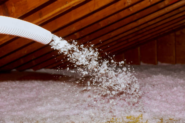 Best Spray Foam Insulation  in Pineville, LA