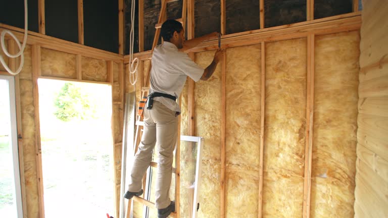 Best Insulation for Existing Homes  in Pineville, LA